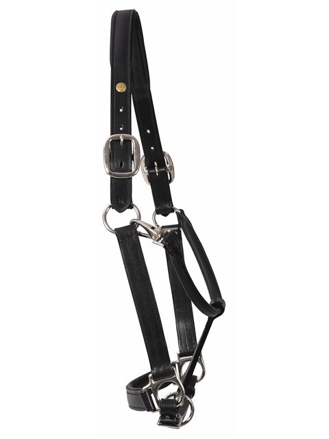 Henri de Rivel Pro Fancy Padded Rolled Throat Triple-Stitched Halter - Halters Leather