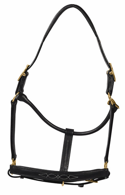 Henri de Rivel Pro Fancy Padded Rolled Throat Triple-Stitched Halter - Black / Oversized - Halters Leather