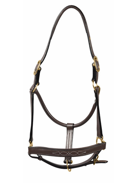 Henri de Rivel Pro Fancy Padded Rolled Throat Triple-Stitched Halter - Havana / Oversized - Halters Leather