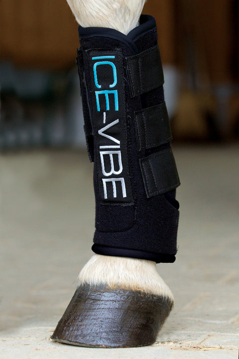 ICE-VIBE Boots