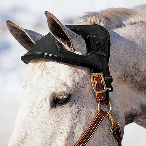 Cashel® Horse Helmet