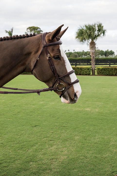 Dy'on® Double Noseband