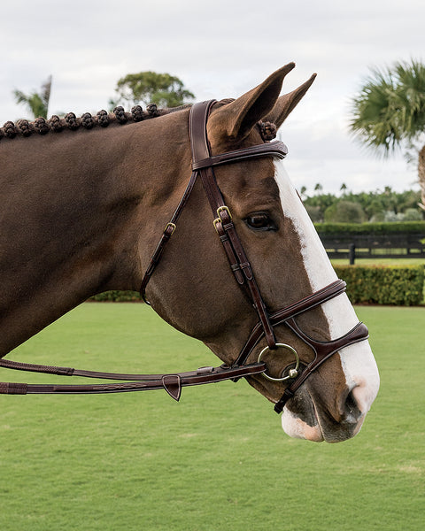 Dy'on® Double Noseband