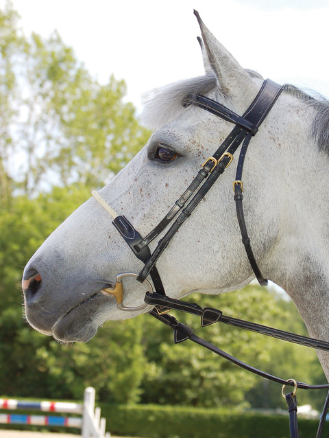 Dy'on Rope Noseband