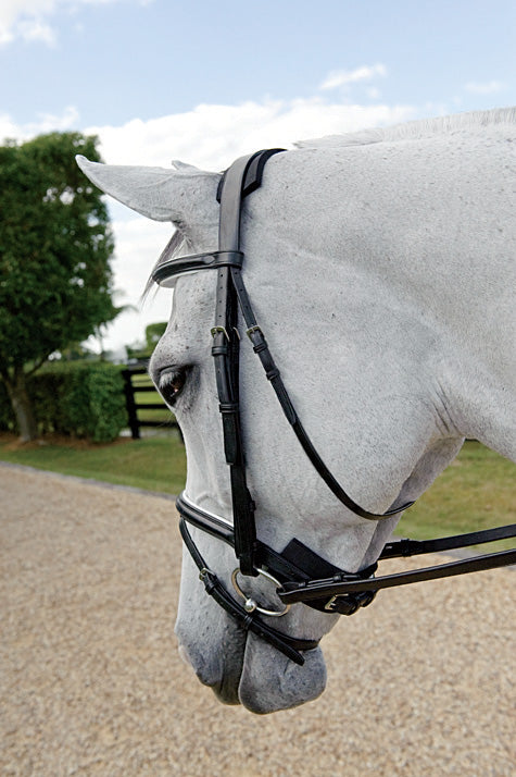 RideWell™ Chin/Crown Guard