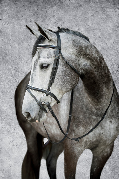 Suffolk™ Dressage Bridle