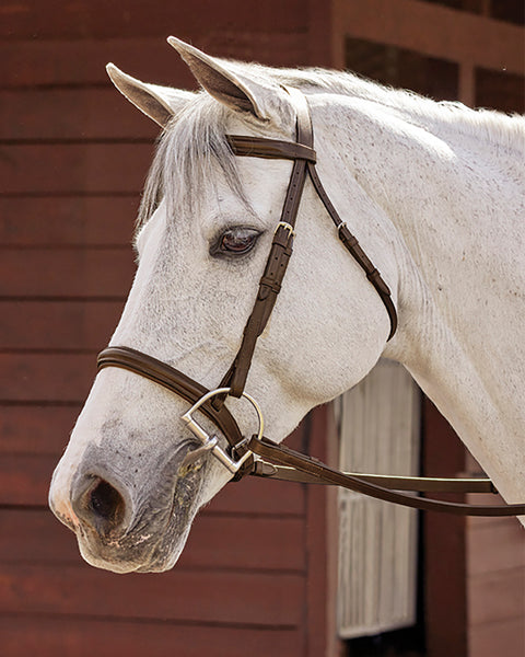 Suffolk™ Hunter Fancy-Stitched Bridle