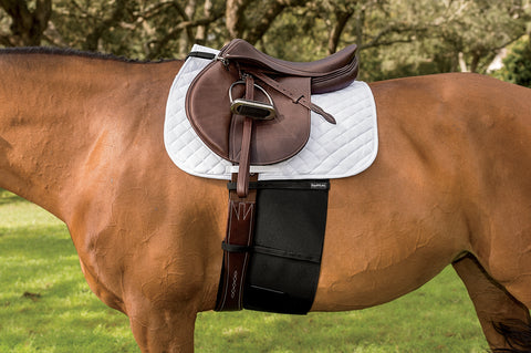 EquiFit® BellyBand™