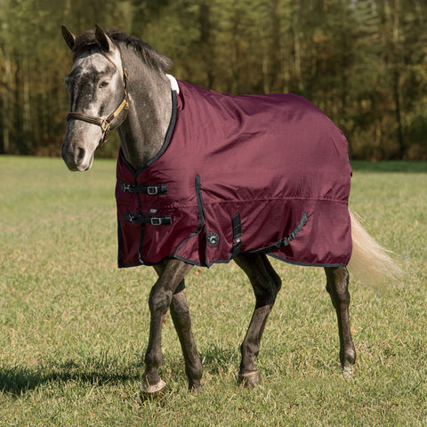 Rider’s International™ Supreme Heavyweight Turnout Blanket
