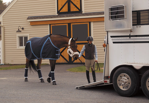 Pony Stable Bandages