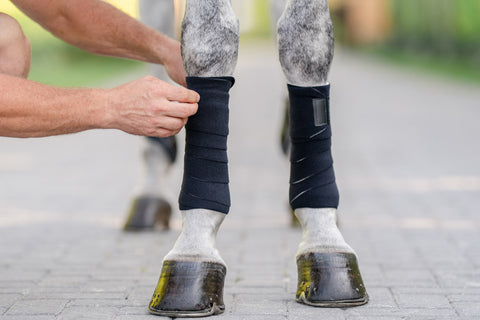 EquiFit® T-Sport Wraps™