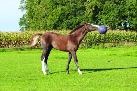 Horsemen's Pride™ Jolly Ball®