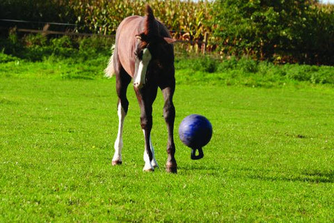 Horsemen's Pride™ Jolly Ball®