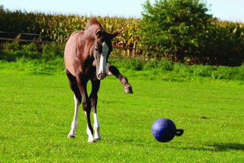Horsemen's Pride™ Jolly Ball®