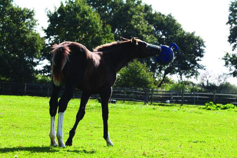 Horsemen's Pride™ Jolly Ball®