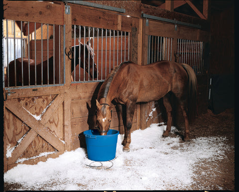 API® 20-Quart Heated Flatback Bucket
