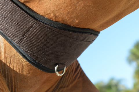 EquiFit® Essential Schooling Girth with SheepsWool™ Liner