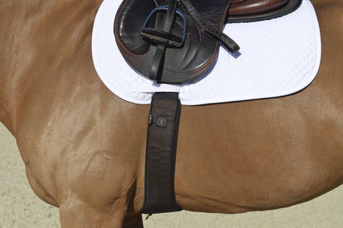 EquiFit® Essential Schooling Girth with SheepsWool™ Liner