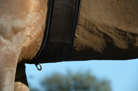 EquiFit® Essential Schooling Girth with SheepsWool™ Liner
