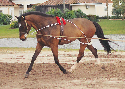 Pessoa® Training System
