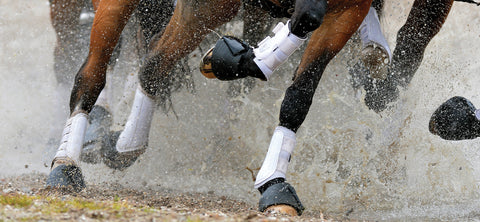 Woof Wear All-Purpose Boots