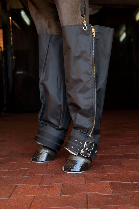 Jack’s Ice Boots - Black - Therapy Horse