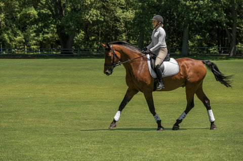 EquiFit® MultiTeq Front Boots