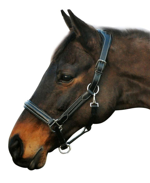 Henri de Rivel Stress Free Halter with Fancy Contrast Stitching