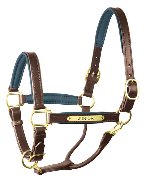 Perri’s® 1" Padded Leather Halter