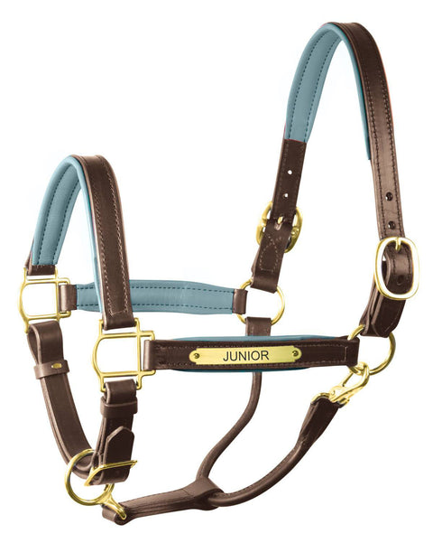 Perri’s® 1" Padded Leather Halter