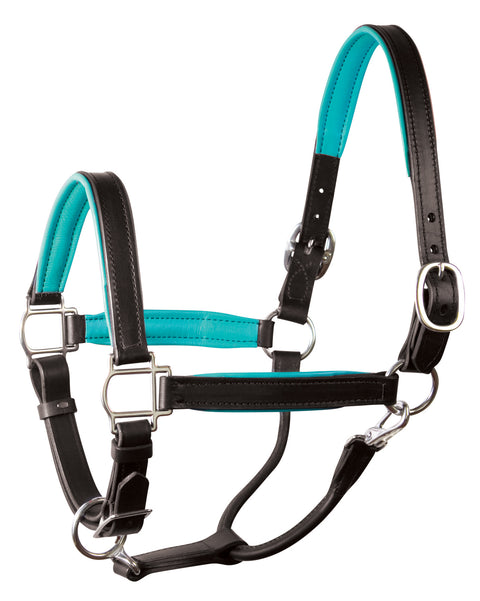 Perri’s® 1" Padded Leather Halter