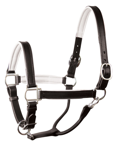 Perri’s® 1" Padded Leather Halter