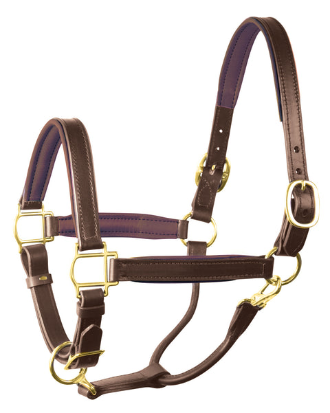 Perri’s® 1" Padded Leather Halter
