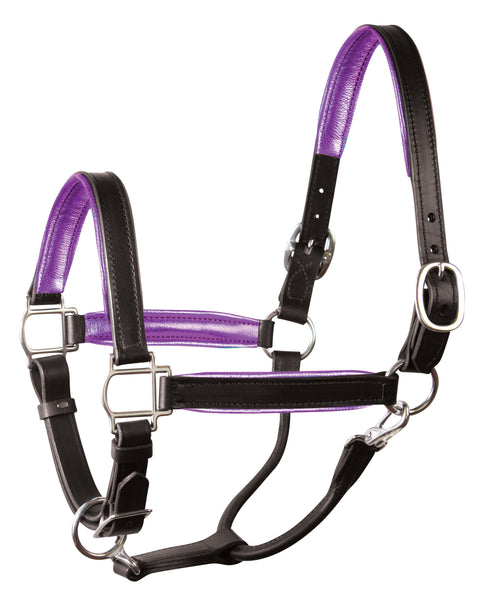 Perri’s® 1" Padded Leather Halter