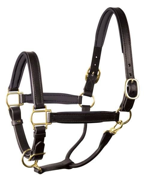 Perri’s® 1" Padded Leather Halter