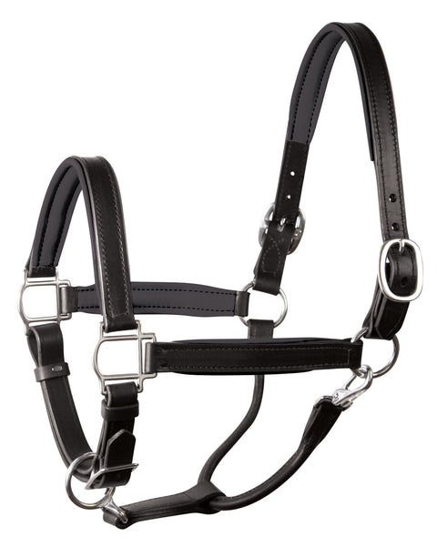 Perri’s® 1" Padded Leather Halter