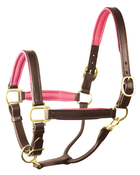 Perri’s® 1" Padded Leather Halter