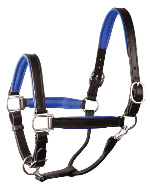 Perri’s® 1" Padded Leather Halter