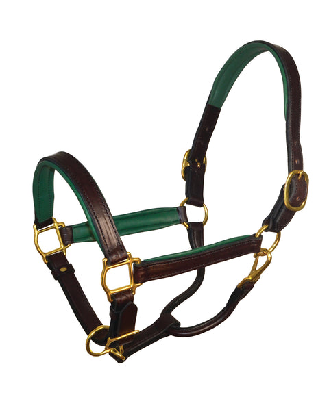 Perri’s® 1" Padded Leather Halter