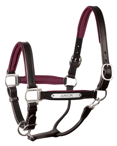 Perri’s® 1" Padded Leather Halter