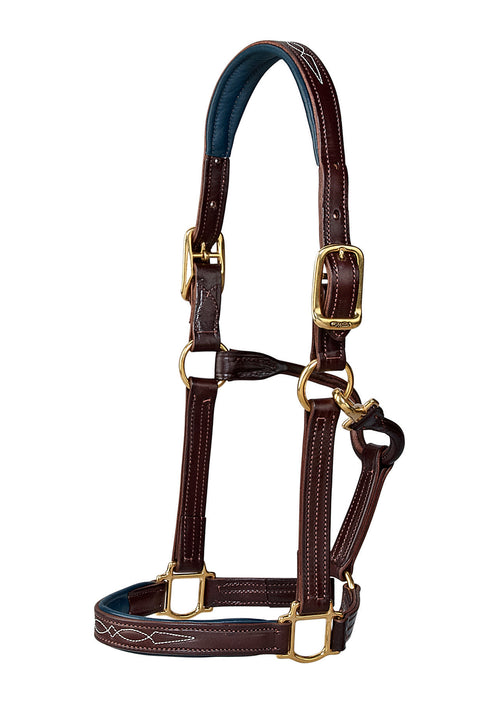 Walsh™ Signature Padded Halter