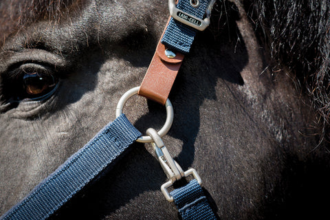 Lami-Cell Fleece-Lined Halter