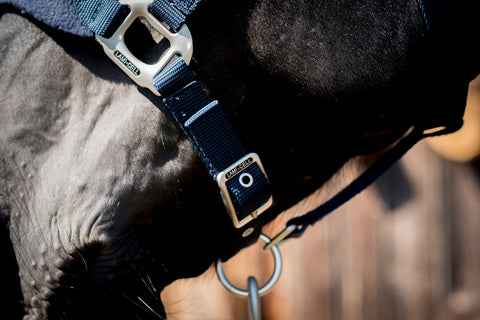 Lami-Cell Fleece-Lined Halter
