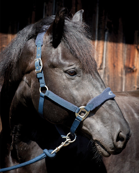 Lami-Cell Fleece-Lined Halter