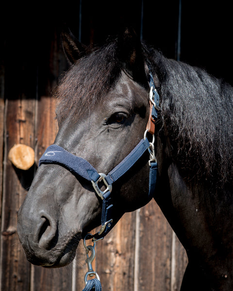 Lami-Cell Fleece-Lined Halter