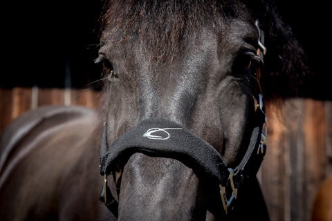 Lami-Cell Fleece-Lined Halter