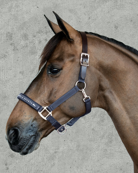 Schockemöhle Memphis Halter