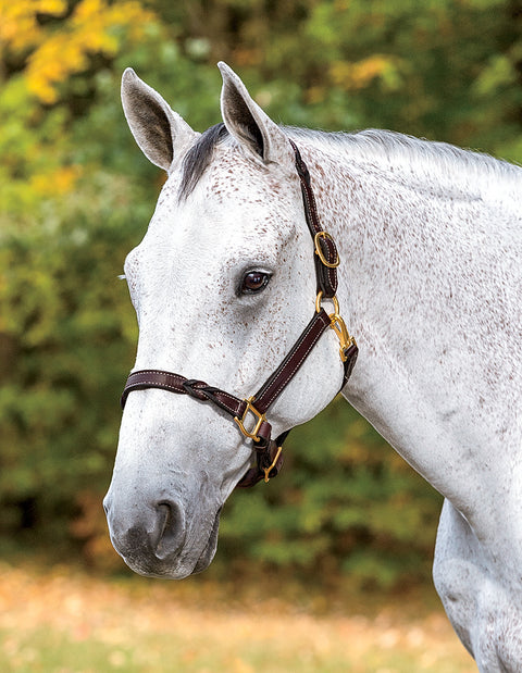 Perri’s® Twisted Leather Halter