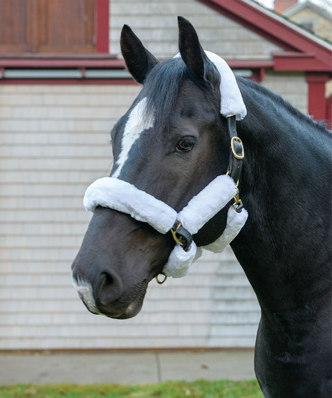Shires SupaFleece Halter Fleeces - 9 piece set