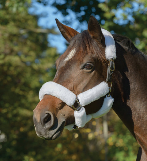 Shires SupaFleece Halter Fleeces - 9 piece set